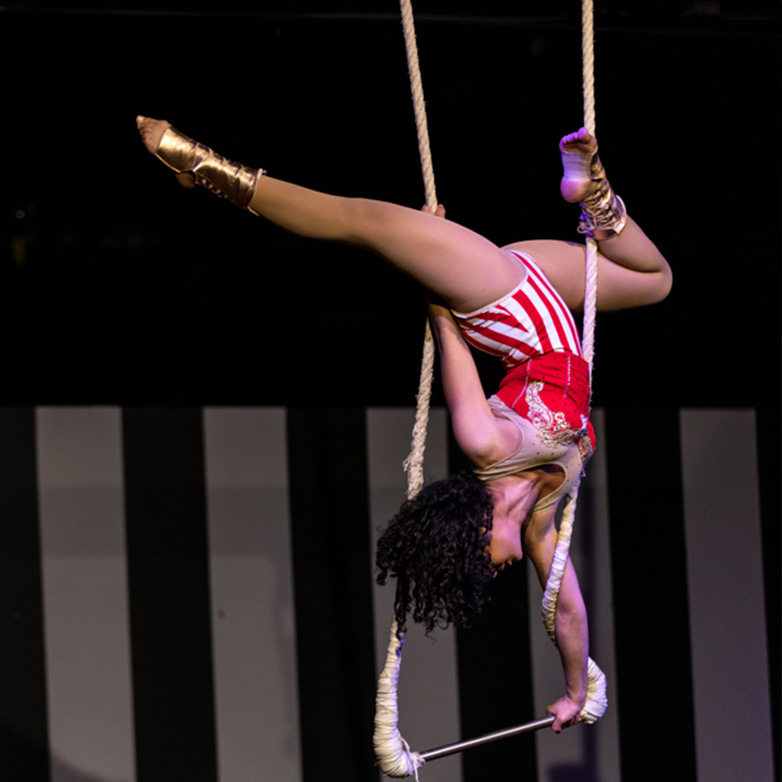 trapeze-handstands